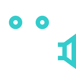 Symbol Videokamera
